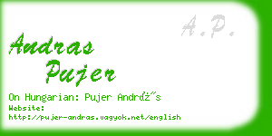 andras pujer business card